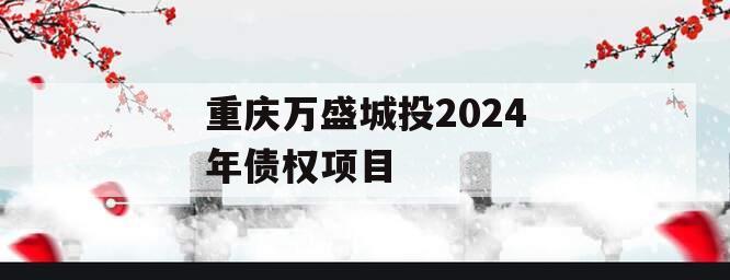 重庆万盛城投2024年债权项目