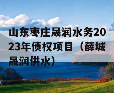 山东枣庄晟润水务2023年债权项目（薛城晟润供水）