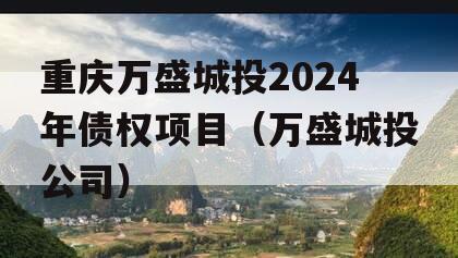 重庆万盛城投2024年债权项目（万盛城投公司）