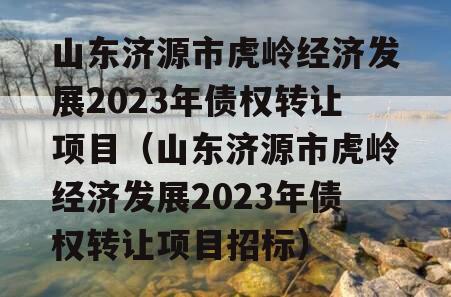 山东济源市虎岭经济发展2023年债权转让项目（山东济源市虎岭经济发展2023年债权转让项目招标）