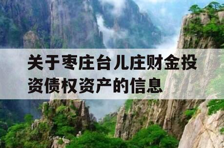 关于枣庄台儿庄财金投资债权资产的信息