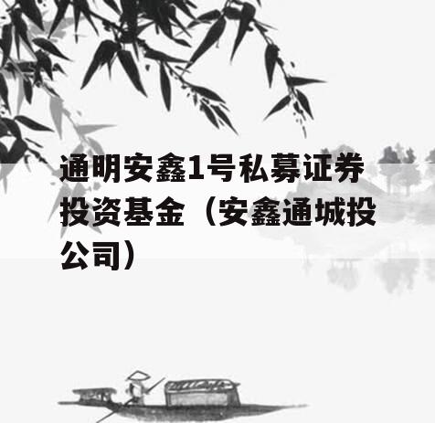 通明安鑫1号私募证券投资基金（安鑫通城投公司）