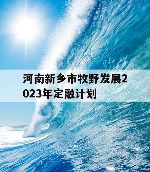 河南新乡市牧野发展2023年定融计划