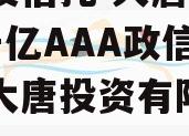 陕国投信托-大唐盛世2号千亿AAA政信（陕西大唐投资有限公司）