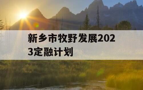 新乡市牧野发展2023定融计划