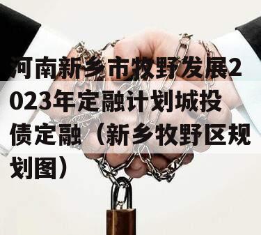 河南新乡市牧野发展2023年定融计划城投债定融（新乡牧野区规划图）