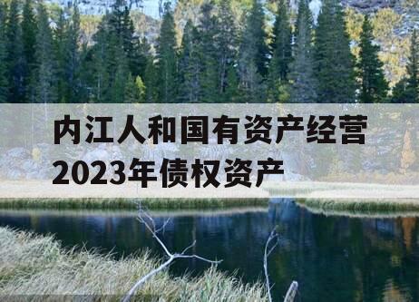 内江人和国有资产经营2023年债权资产