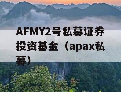 AFMY2号私募证券投资基金（apax私募）