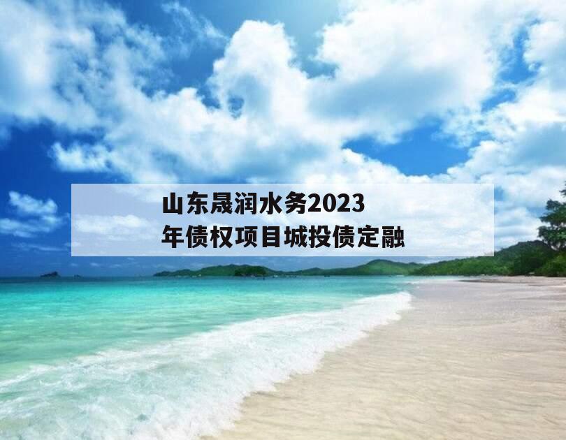 山东晟润水务2023年债权项目城投债定融