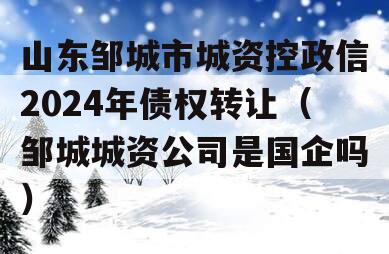 山东邹城市城资控政信2024年债权转让（邹城城资公司是国企吗）