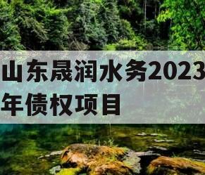 山东晟润水务2023年债权项目