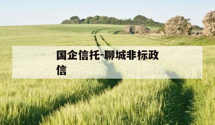 国企信托-聊城非标政信