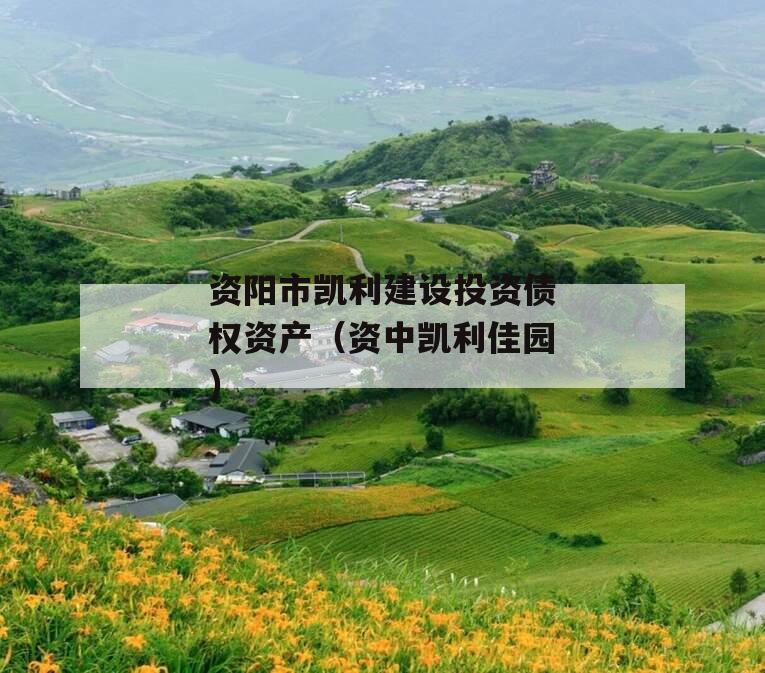 资阳市凯利建设投资债权资产（资中凯利佳园）