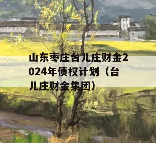 山东枣庄台儿庄财金2024年债权计划（台儿庄财金集团）