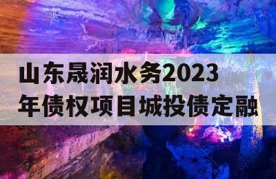 山东晟润水务2023年债权项目城投债定融