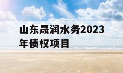 山东晟润水务2023年债权项目