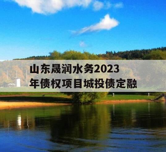 山东晟润水务2023年债权项目城投债定融