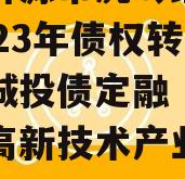 山东济源市虎岭经济发展2023年债权转让项目城投债定融（济源虎岭高新技术产业开发区）