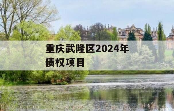 重庆武隆区2024年债权项目