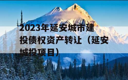 2023年延安城市建投债权资产转让（延安城投项目）