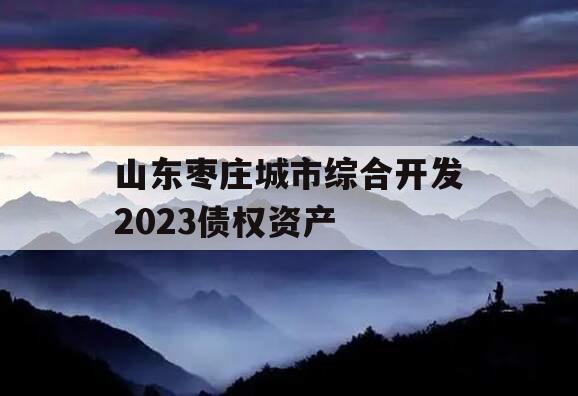 山东枣庄城市综合开发2023债权资产