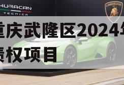 重庆武隆区2024年债权项目