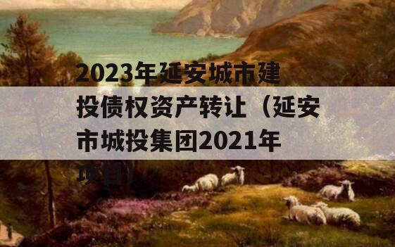 2023年延安城市建投债权资产转让（延安市城投集团2021年项目）