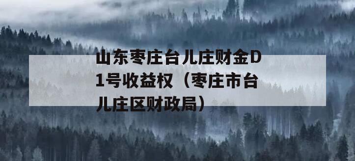 山东枣庄台儿庄财金D1号收益权（枣庄市台儿庄区财政局）