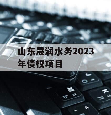 山东晟润水务2023年债权项目