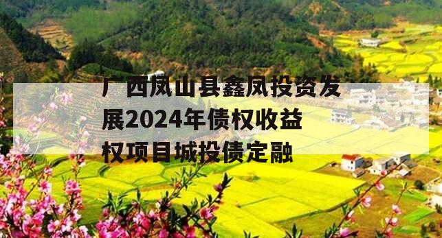 广西凤山县鑫凤投资发展2024年债权收益权项目城投债定融