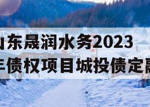 山东晟润水务2023年债权项目城投债定融