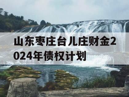 山东枣庄台儿庄财金2024年债权计划