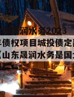 山东晟润水务2023年债权项目城投债定融（山东晟润水务是国企吗）