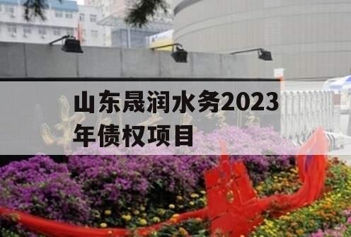 山东晟润水务2023年债权项目