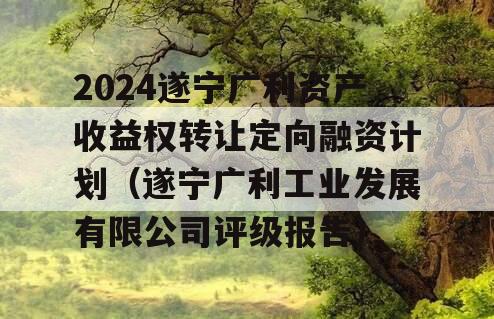 2024遂宁广利资产收益权转让定向融资计划（遂宁广利工业发展有限公司评级报告）