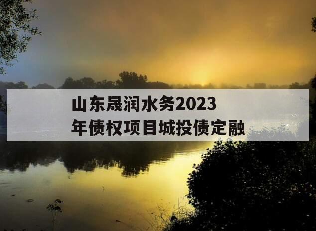 山东晟润水务2023年债权项目城投债定融