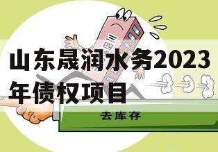 山东晟润水务2023年债权项目