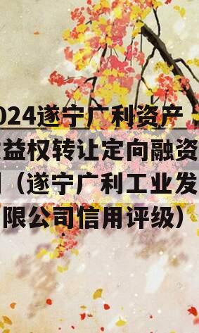 2024遂宁广利资产收益权转让定向融资计划（遂宁广利工业发展有限公司信用评级）