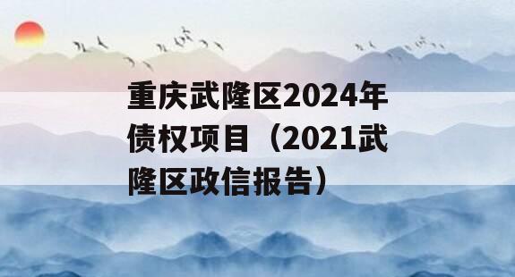 重庆武隆区2024年债权项目（2021武隆区政信报告）