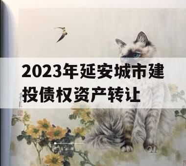 2023年延安城市建投债权资产转让