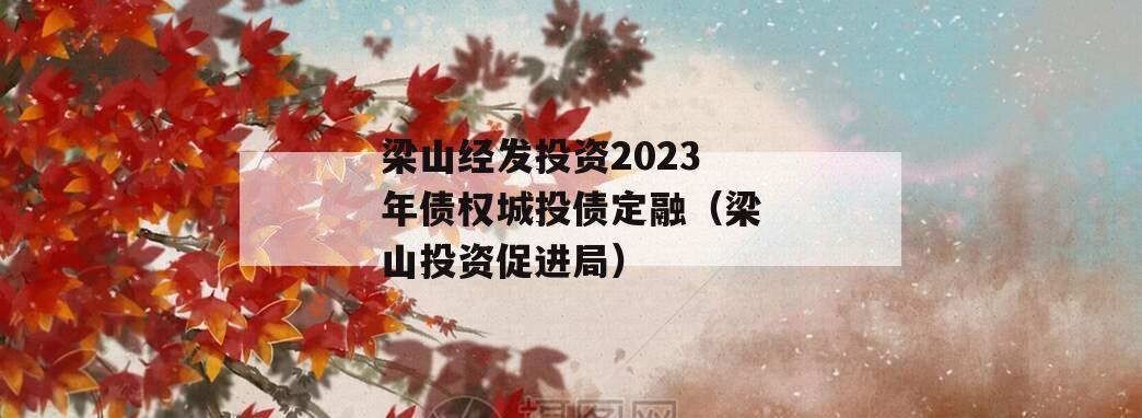 梁山经发投资2023年债权城投债定融（梁山投资促进局）