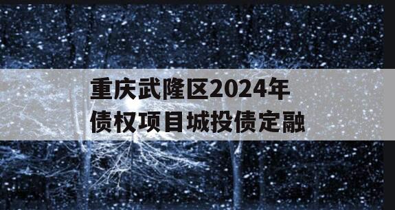 重庆武隆区2024年债权项目城投债定融