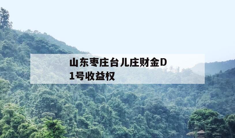 山东枣庄台儿庄财金D1号收益权