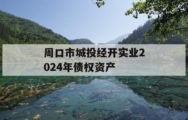 周口市城投经开实业2024年债权资产