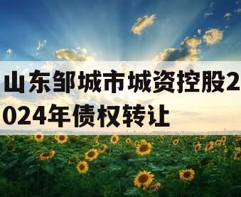 山东邹城市城资控股2024年债权转让