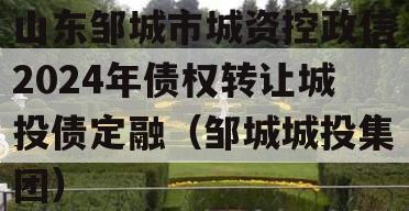 山东邹城市城资控政信2024年债权转让城投债定融（邹城城投集团）