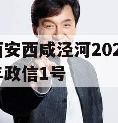 西安西咸泾河2024年政信1号