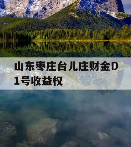 山东枣庄台儿庄财金D1号收益权