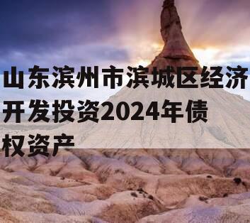 山东滨州市滨城区经济开发投资2024年债权资产