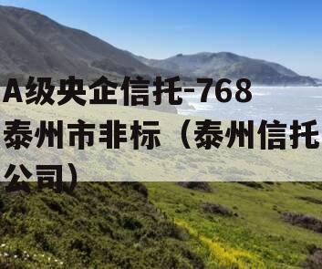 A级央企信托-768泰州市非标（泰州信托公司）